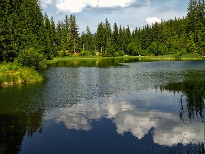 Vrbické pleso.