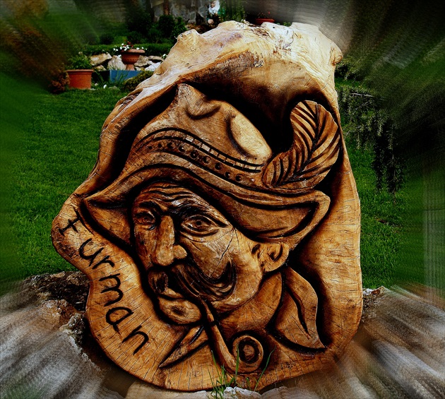 POVOZNÍK