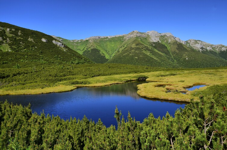 Trojrohé pleso