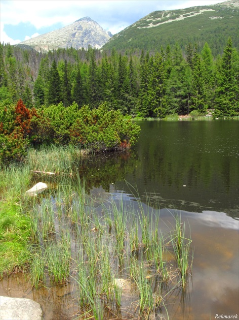 Jamské pleso