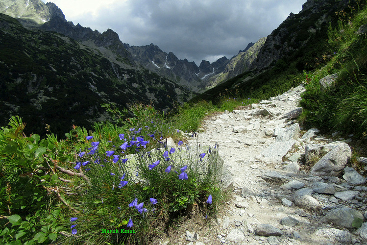 Tatry